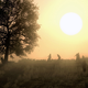 Illustration for article titled Scenes From An Undead Nightmare